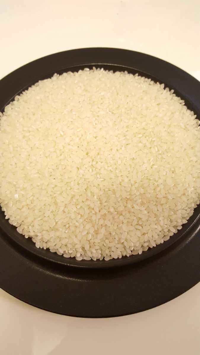 令和3年産 滋賀県産【近江米】キヌヒカリ 玄米30kg 自家栽培 令和3年産 滋賀県産【近江米】キヌヒカリ 玄米30kg 自家栽培