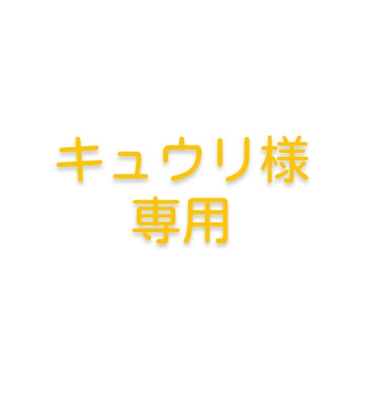 専用のため他の方は購入ご遠慮ください。