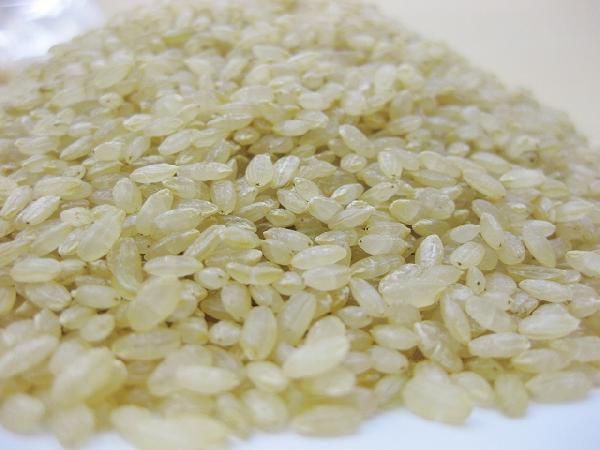 豆力　こだわりの北海道産発芽玄米　5ｋｇ　【無洗米タイプ】_画像2