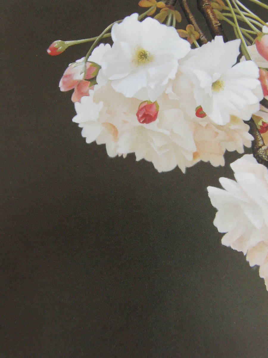 河合美江、【桜】、希少な額装用画集より、新品額装付、状態良好、送料込み_画像4