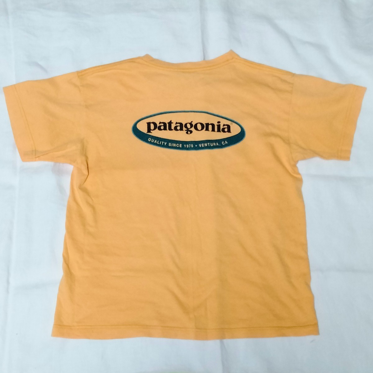 【レア・旧オーガニック刺繍ネーム・USA製】パタゴニア　Tシャツ　patagonia　90's