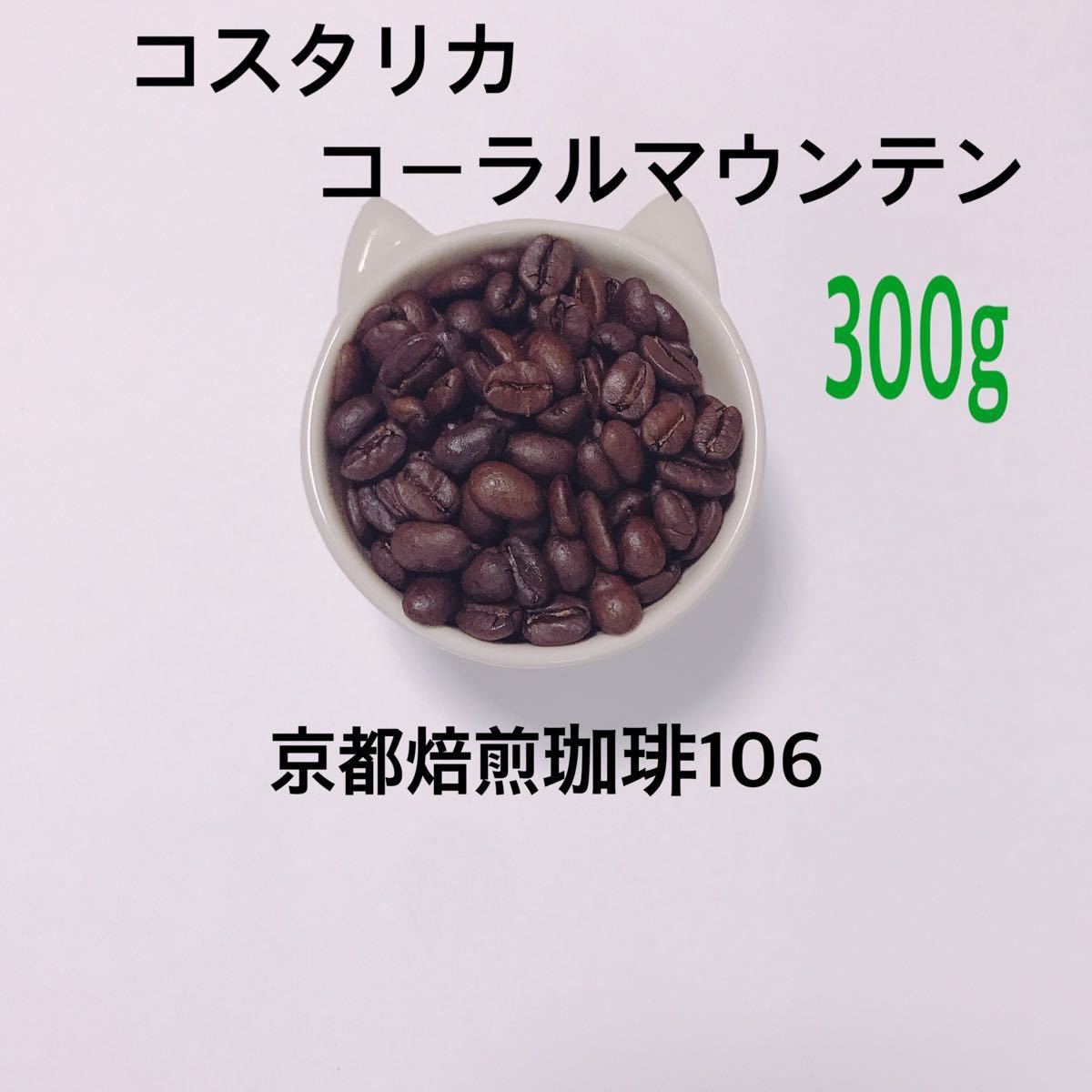 自家焙煎 珈琲豆 300g   (100g×3)