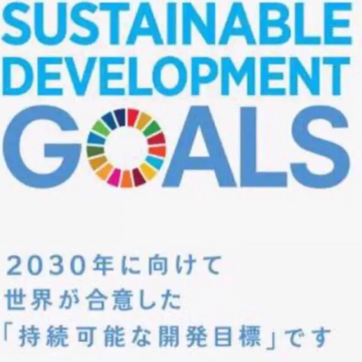 【国連本部純正品】SDGs  ピンバッジ　20点セット　【新品未使用】