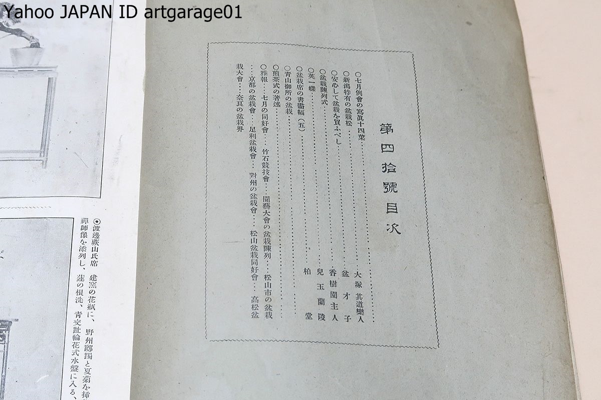 盆栽雅報/盆栽同好会/明治42年/日本で初めての盆栽専門の月刊誌 盆栽雅報/盆栽同好会/明治42年/日本で初めての盆栽専門の月刊誌