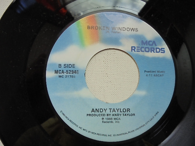 80年代 USシングル盤レコード ANDY TAYLOR『 WHEN THE RAIN COMES DOWN 』美品_画像5