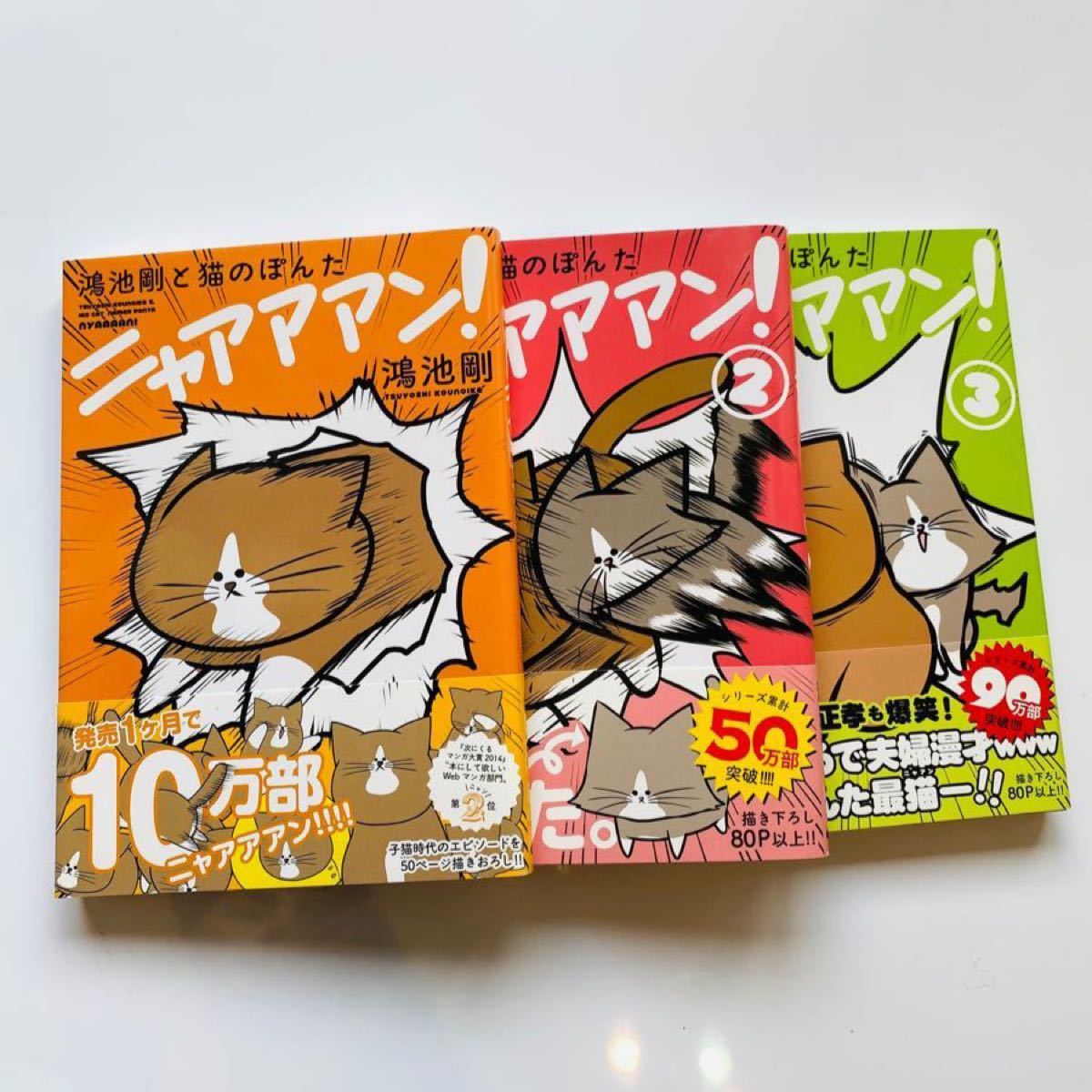 Paypayフリマ ニャアアアン 鴻池剛と猫のぽんた 鴻池剛 1 2 3巻 Paypayフリマ ニャアアアン 鴻池剛と猫のぽんた 鴻池剛 1 2 3巻