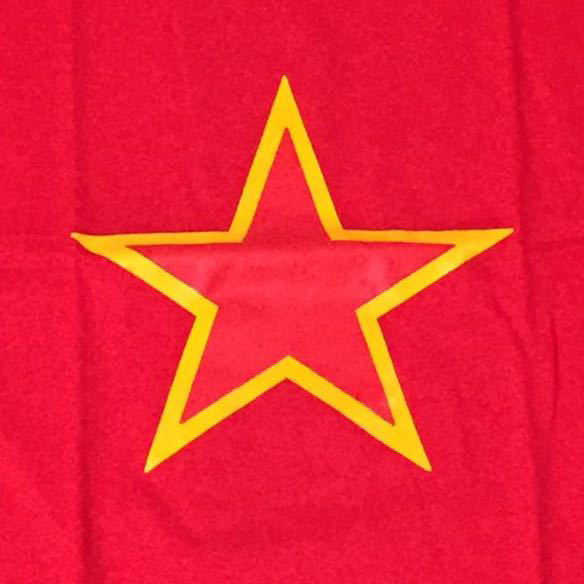 ★シンプルでオシャレ★ソ連ロシアレッドスターTシャツ赤M★送料無料★_画像2