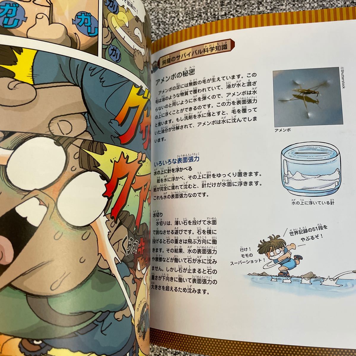 洞窟のサバイバル 科学漫画サバイバルシリーズ かがくるBOOK 洞窟のサバイバル 科学漫画サバイバルシリーズ かがくるBOOK