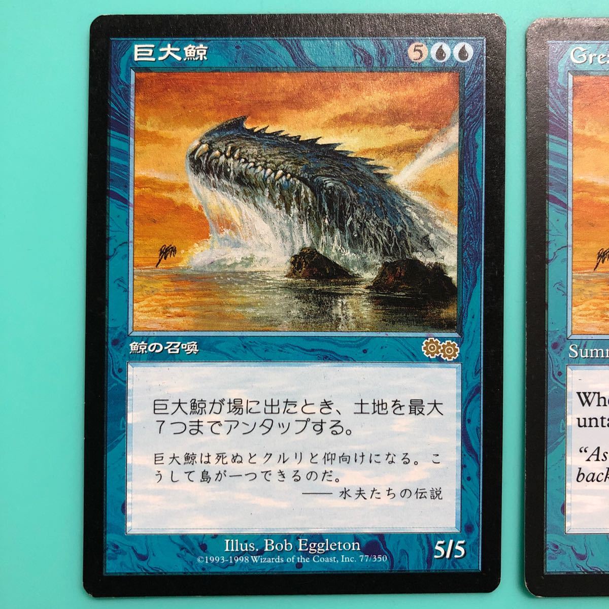 MTG 巨大鯨 英語 www.cataniavip.it