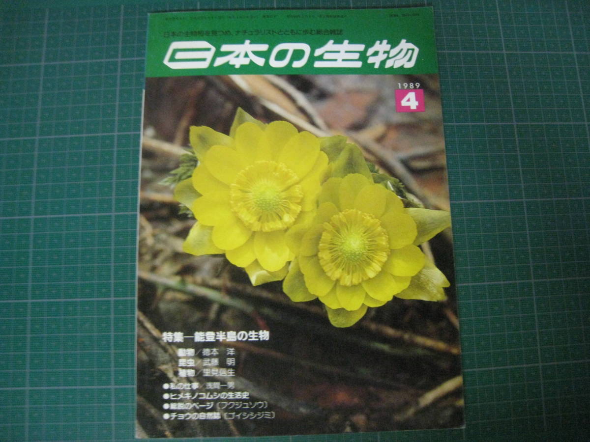 日本の生物　1989年4月号　特集：能登半島の生物　文一総合出版_画像1