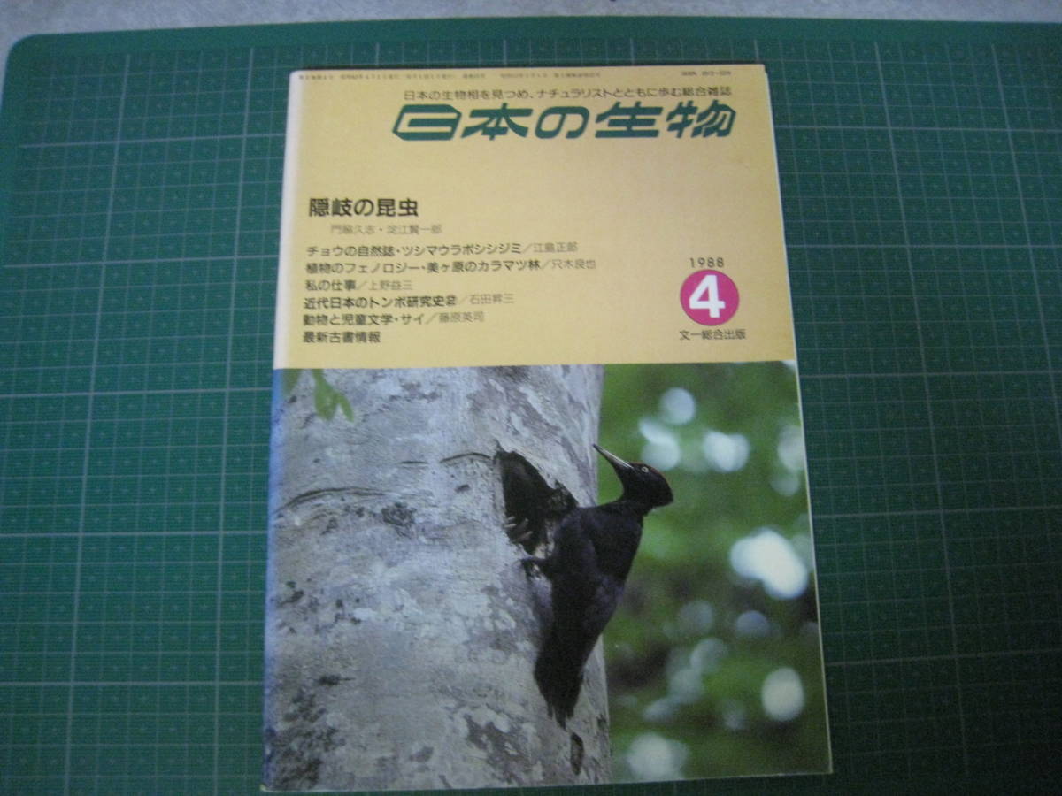 日本の生物　1988年4月号　隠岐の昆虫　文一総合出版_画像1