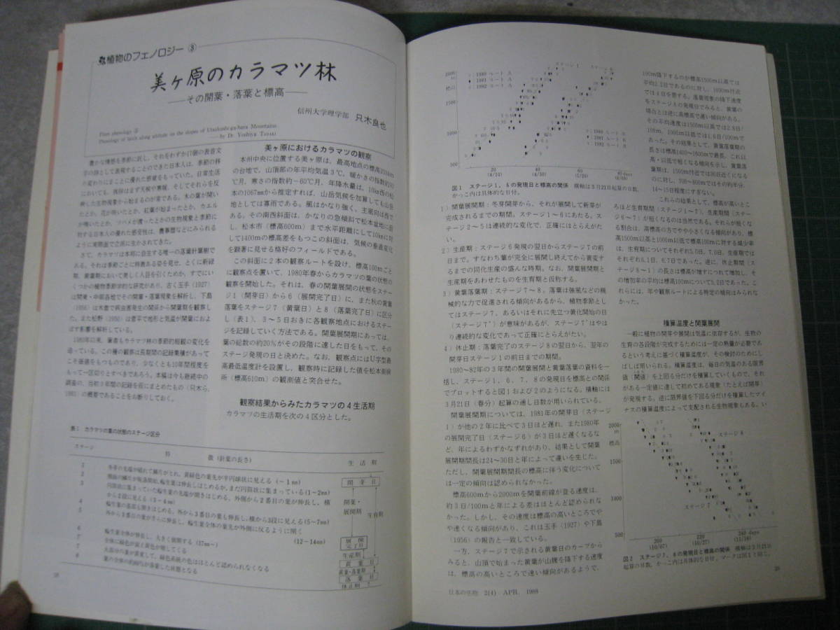 日本の生物　1988年4月号　隠岐の昆虫　文一総合出版_画像7