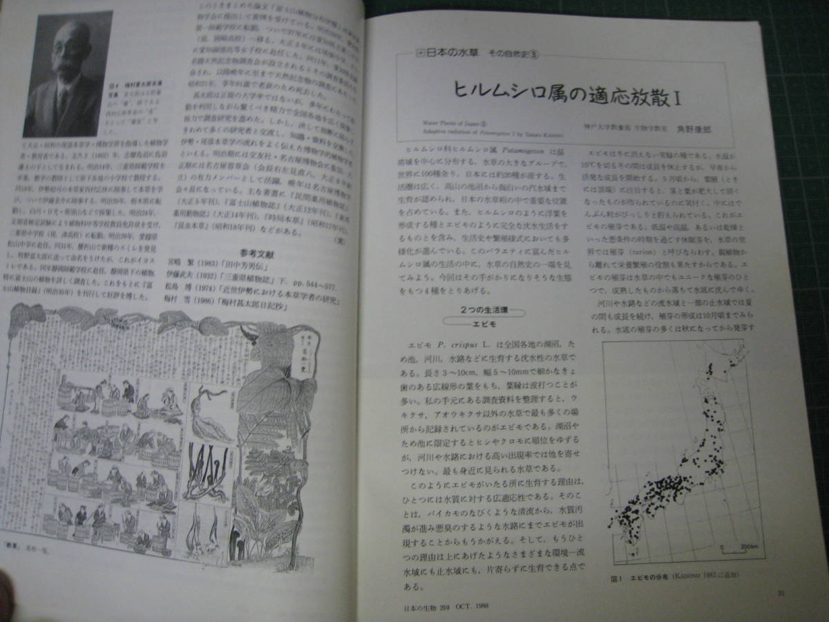 日本の生物　1988年10月号　英彦山の生物　文一総合出版_画像6