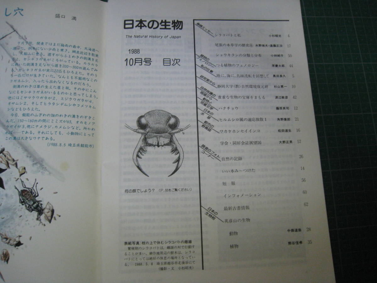 日本の生物　1988年10月号　英彦山の生物　文一総合出版_画像5