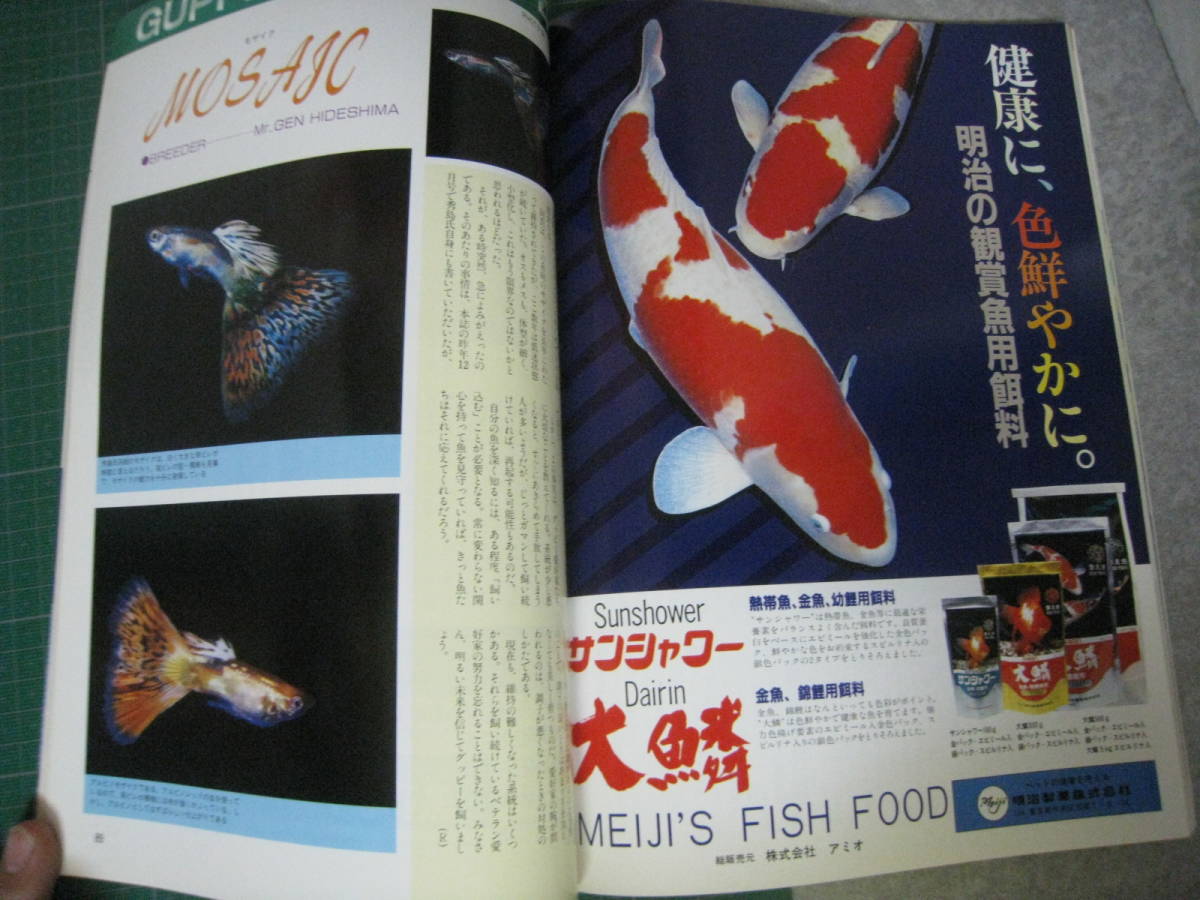  fish magazine 1986 year 8 month number special collection : Inter Zoo *86 green bookstore 