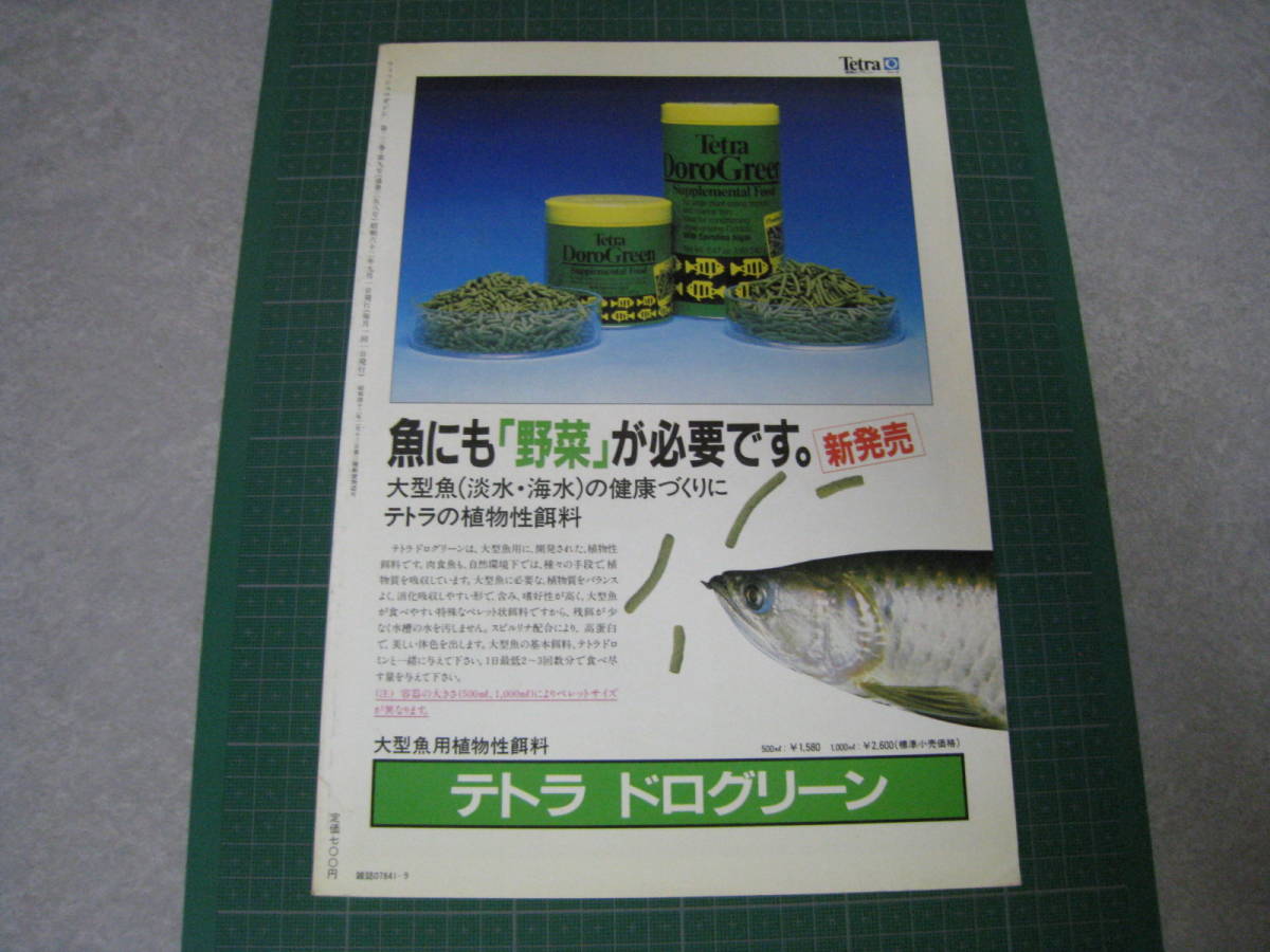 フィッシュマガジン　1987年9月号　特集：古代魚の四天王　緑書房_画像2