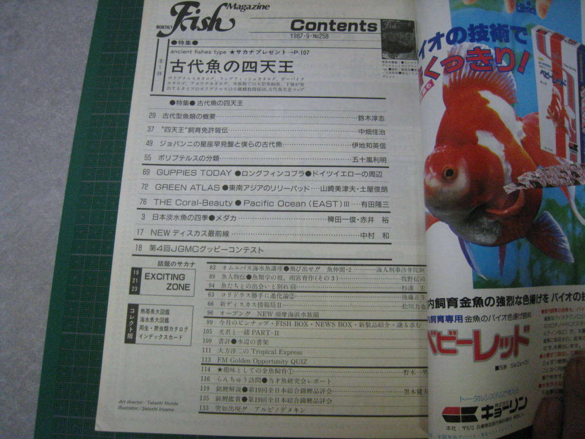 フィッシュマガジン　1987年9月号　特集：古代魚の四天王　緑書房_画像8