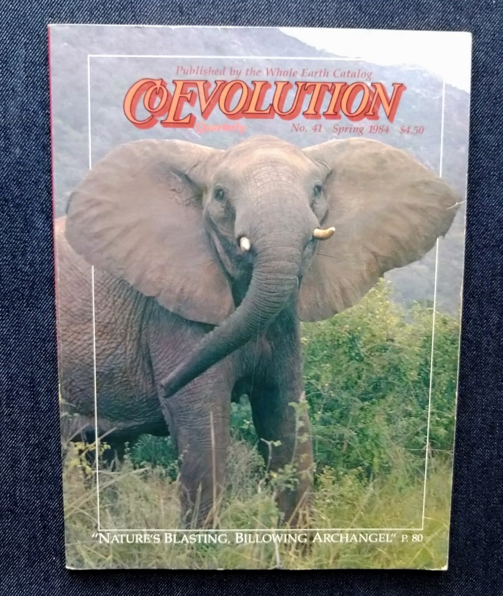 1984 year CoEvolution Quarterly foreign book .* Elephant / Allex * gray Alex Grey/Jay Kinney/Whole Earth Catalog Stewart Brand