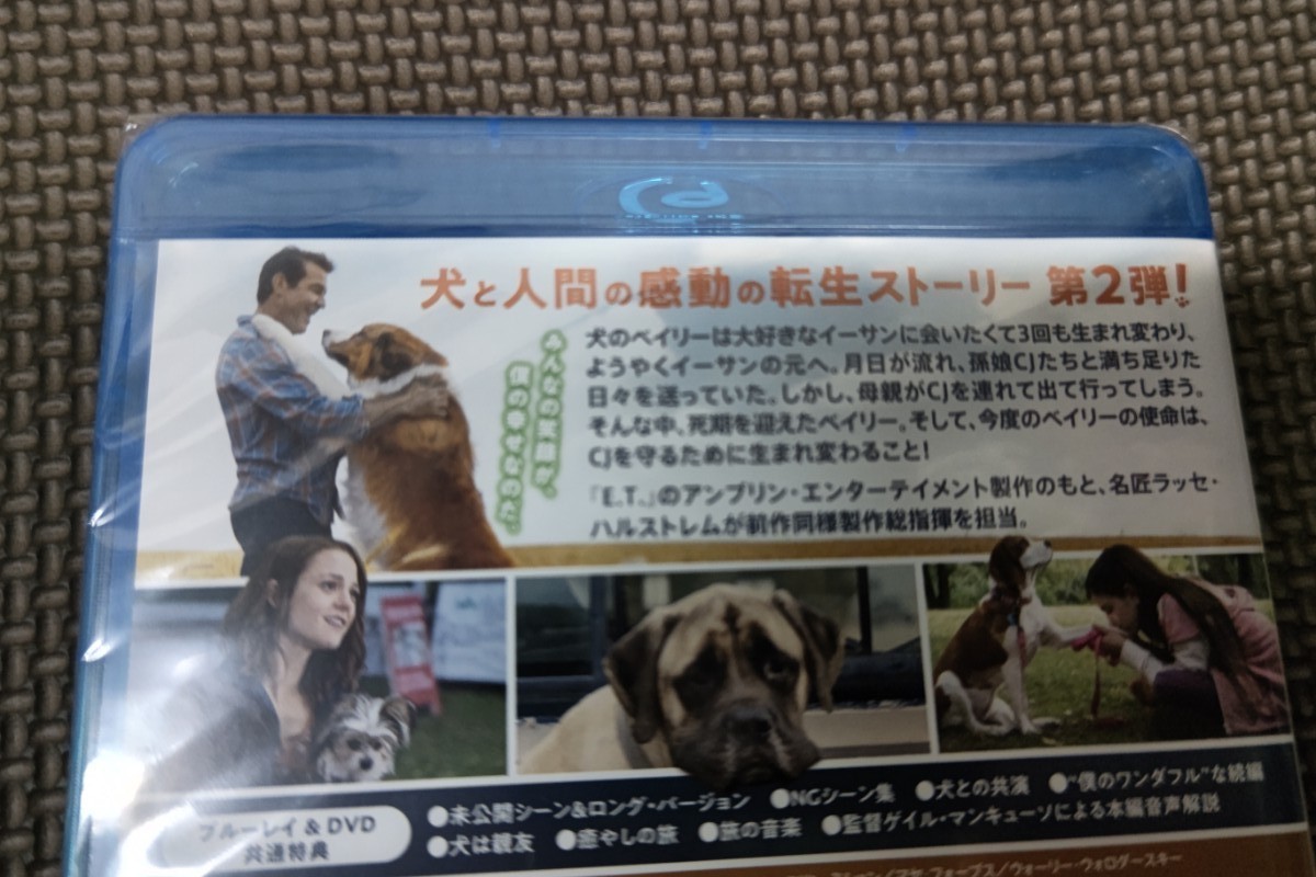 PayPayフリマ|僕のワンダフルジャーニー Blu-ray + DVD PayPayフリマ|僕のワンダフルジャーニー Blu-ray + DVD