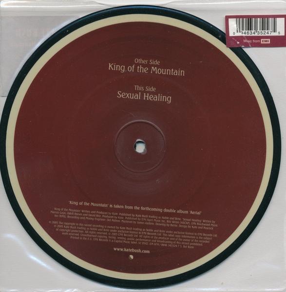 KATE BUSH/KING OF THE MOUNTAIN/EU record / new goods 7 -inch Picture!!