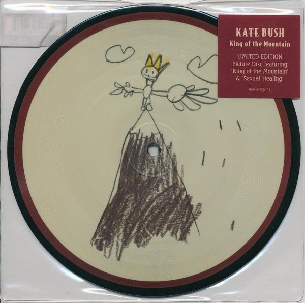 KATE BUSH/KING OF THE MOUNTAIN/EU record / new goods 7 -inch Picture!!