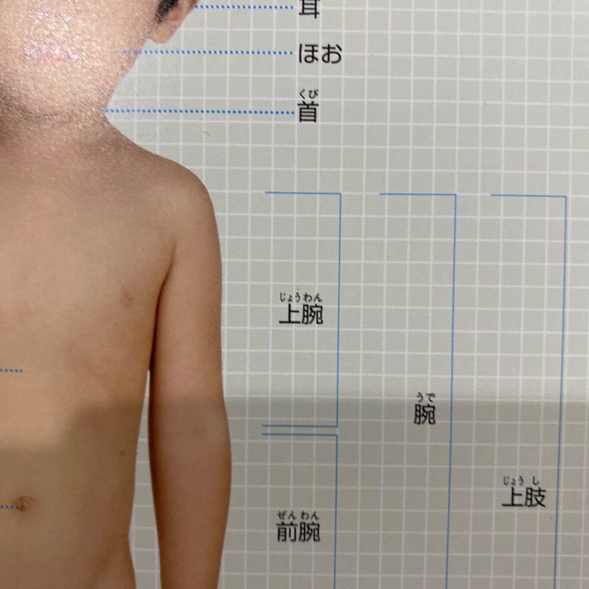 Paypayフリマ 小学館の図鑑neo 人間 Paypayフリマ 小学館の図鑑neo 人間
