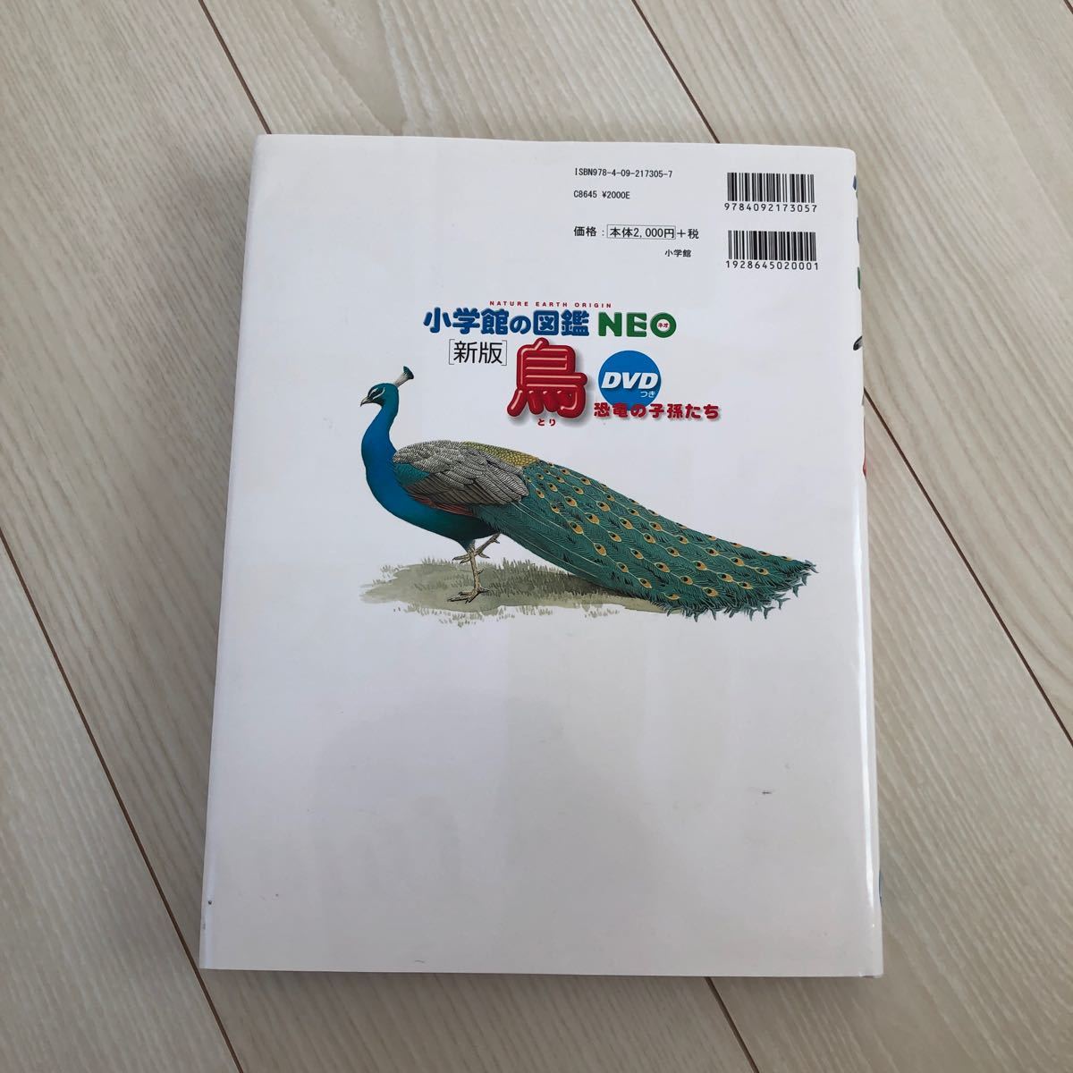 DVD付 新版 鳥 恐竜の子孫たち (小学館の図鑑NEO)