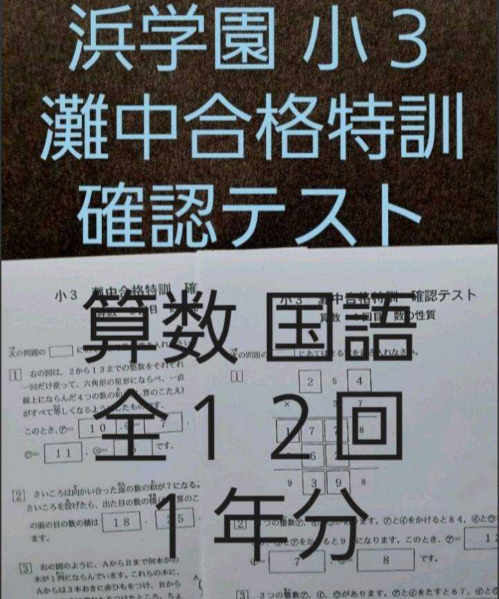 浜学園 小3 灘中合格特訓 算数 国語 確認テスト 1年分(中学受験)｜売買されたオークション情報、yahooの商品情報をアーカイブ公開