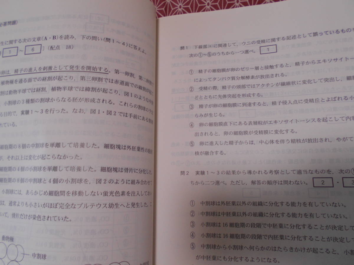 ★２０１７大学入学共通テスト実戦問題集 生物 代々木ゼミナール (編集)★センター試験の出題傾向＆対策に精通したスタッフが作ってます_画像4