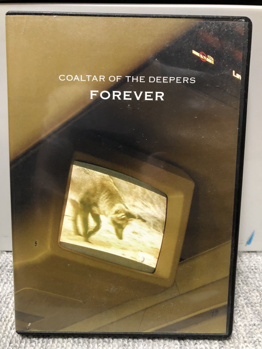 COALTAR OF THE DEEPERS コールターオブザディーパーズ FOREVER [DVD＋CDの2枚組] 特撮