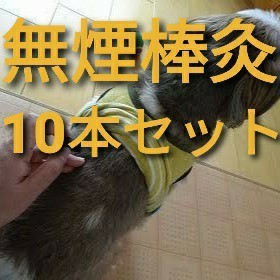 Paypayフリマ 無煙棒灸 10本セット お灸 犬 猫 介護 鍼灸 東洋医学 中医学 免疫