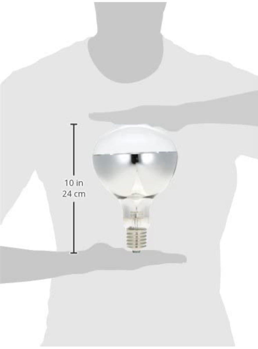 岩崎電気 省電力形屋外投光器用ランプ 屋外用アイ ランプ RF110V450WH_画像2