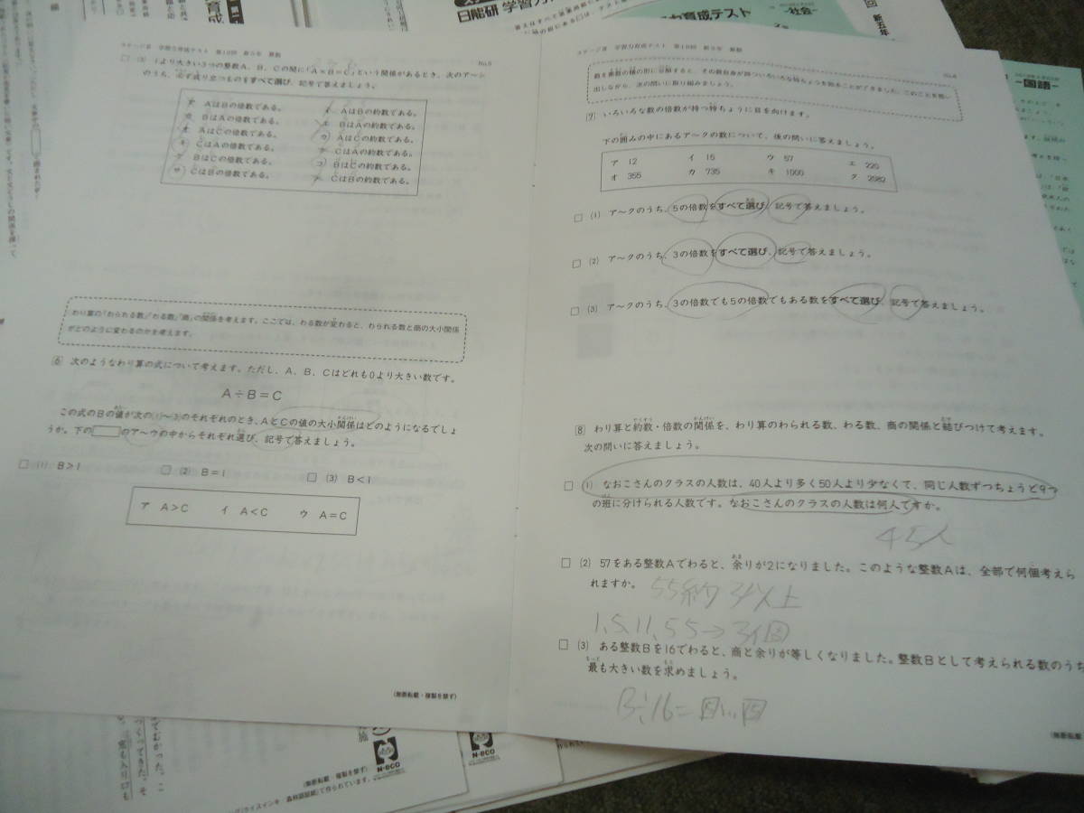 2019年　日能研　 5年/小5　 全国公開模試 12回分/記述力/学習力育成テスト　全19回 春期/夏期/冬期特別テスト計5回_画像3