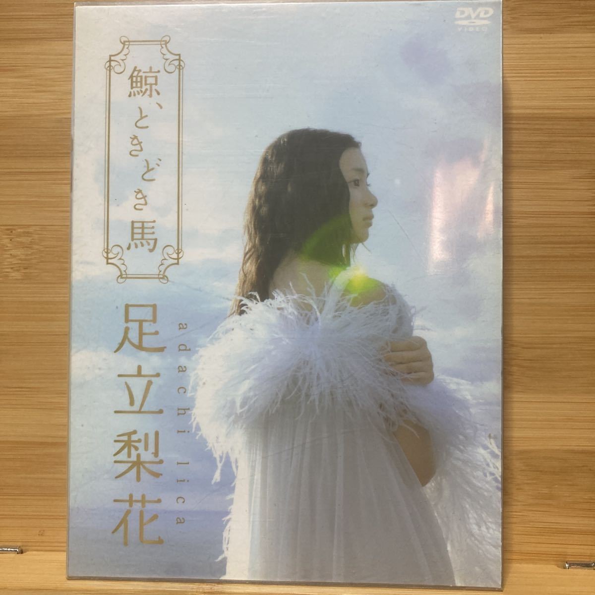 足立梨花 鯨、ときどき馬。 DVD