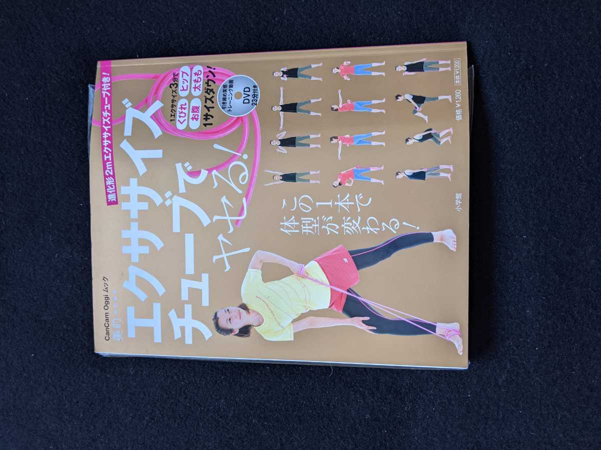 本物品質の エクササイズチューブでやせる くびれ 下半身 筋肉