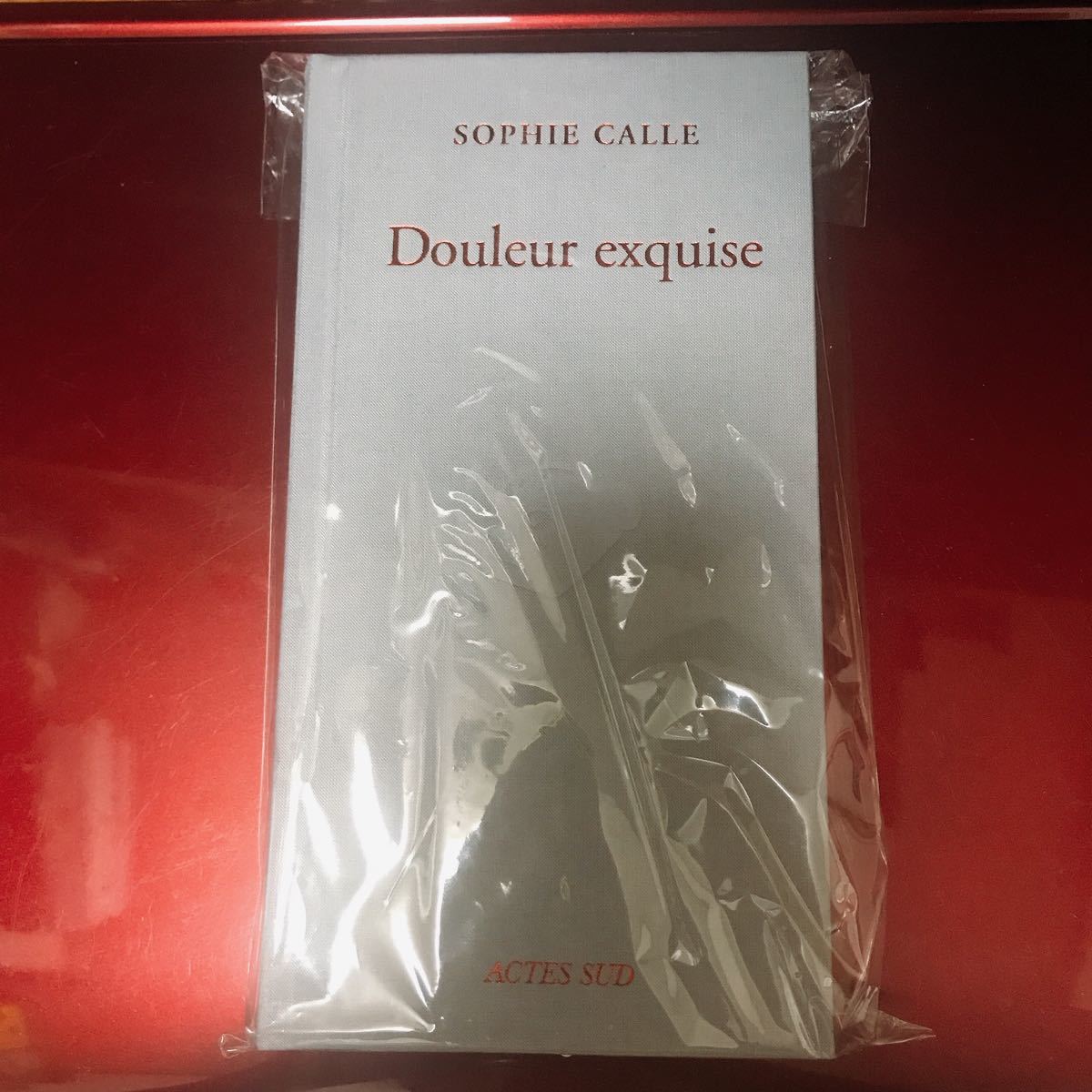 最新号掲載アイテム ソフィ カル 限局性激痛 Douleur exquise 日本語訳