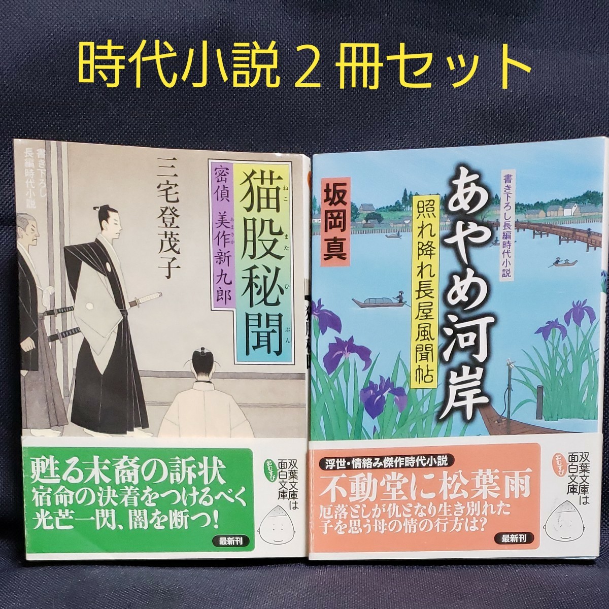 三宅登茂子/坂岡真　時代小説文庫セット