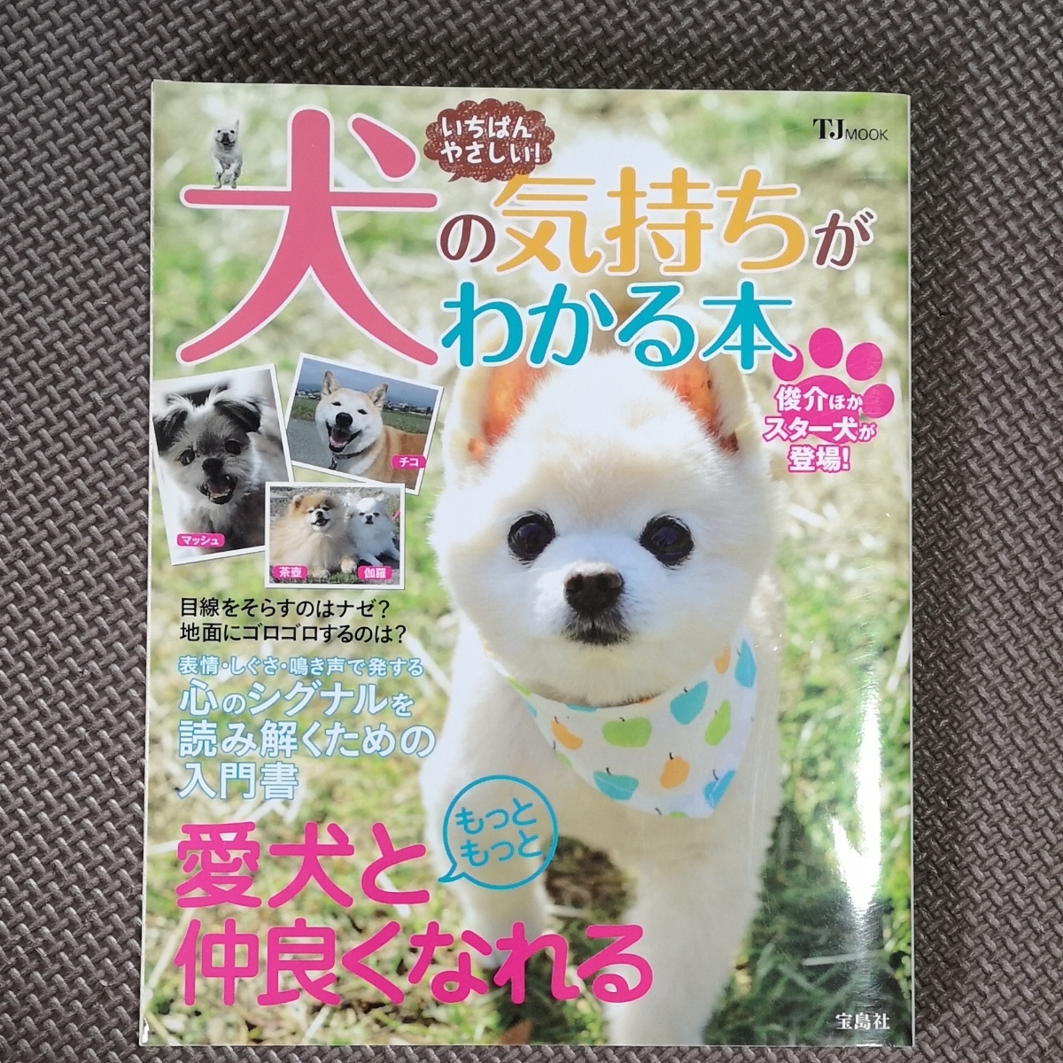 Paypayフリマ いちばんやさしい 犬の気持ちがわかる本 tjmook 趣味就職ガイド資格 Paypayフリマ いちばんやさしい 犬の気持ちがわかる本 tjmook 趣味就職ガイド資格