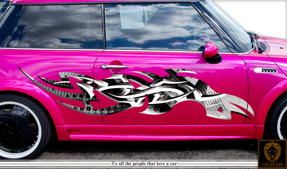 車 ステッカー かっこいい カスタム トライバル カーステッカー 車用 バイナルグラフィック ワイルドスピード系 全8色 09_画像1