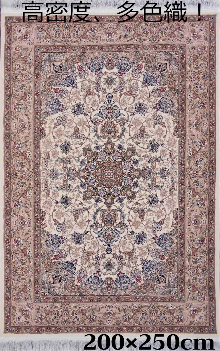 170万ノット！超高密度、輝く、多色織絨毯！ペルシャ絨毯の本場 イラン