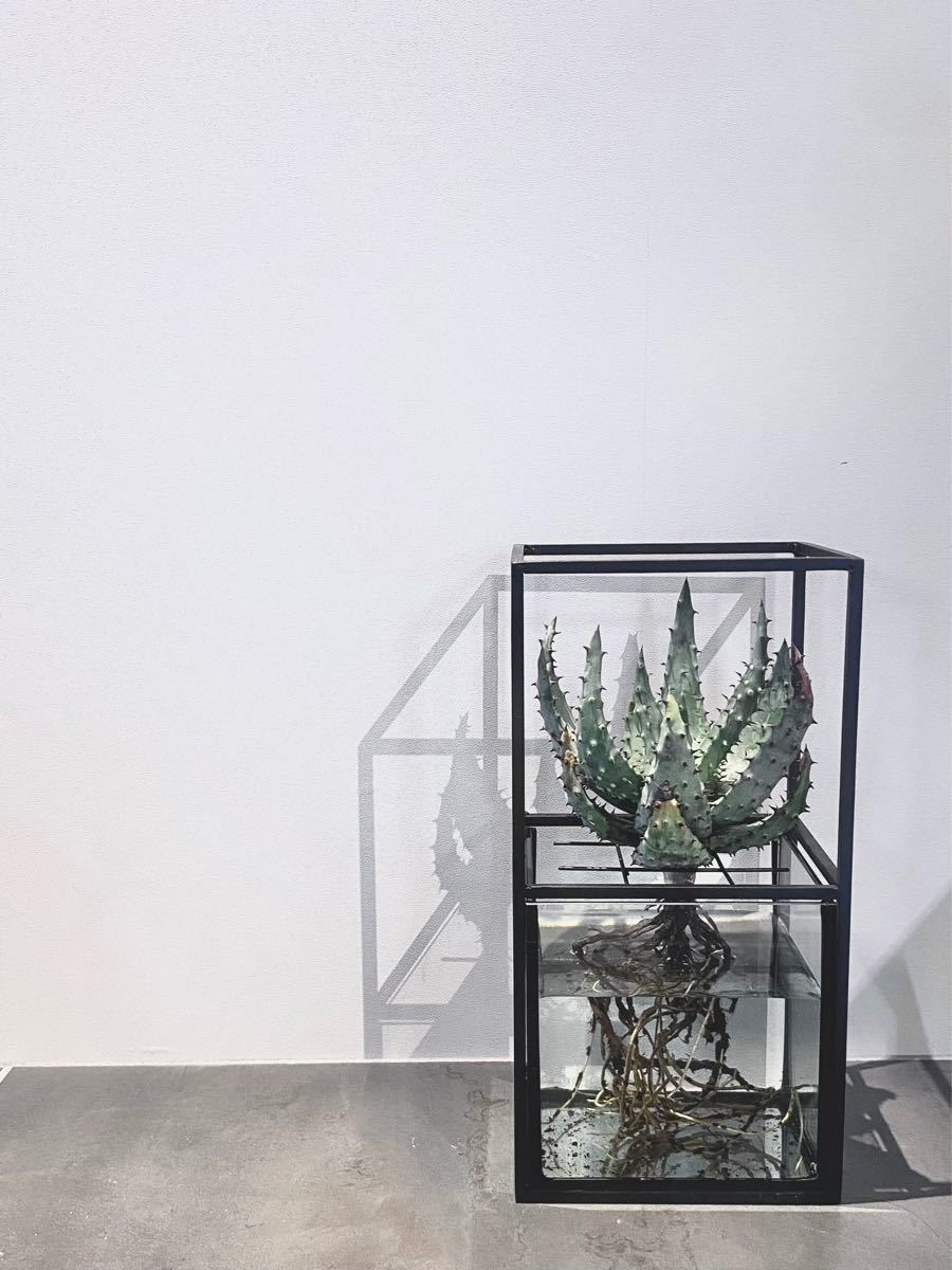 日本製】 プランター 鉢 Cube☆水耕栽培キット ☆新モデル☆Botanic ...