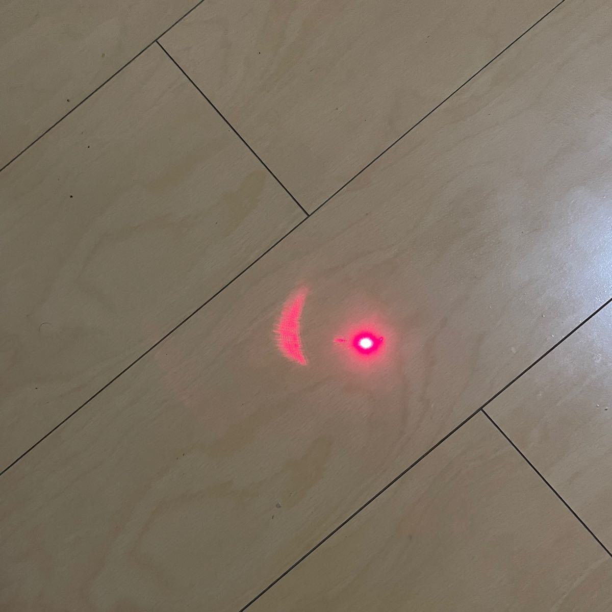 【2個セット】LEDポインター　猫　おもちゃ　猫じゃらし　赤い光
