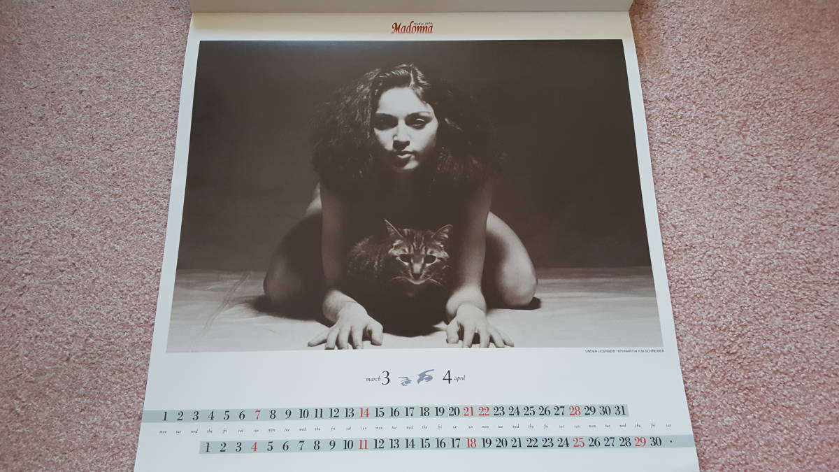 マドンナ MADONNA 1979 Nudes 1999年 国内製 カレンダー ： 36 cm x 