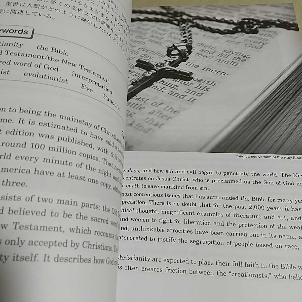 TRANSCULTURE Transcending Time Region and Ethnicity 多元文化 TRANSCULTURE Transcending Time Region and Ethnicity 多元文化