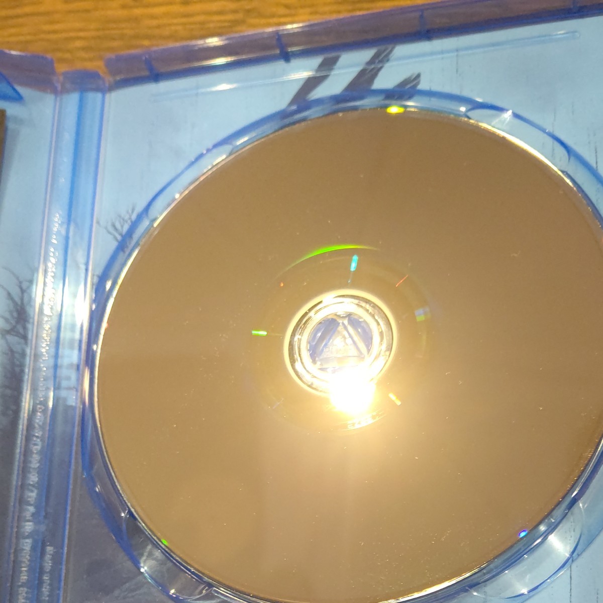PS4 バイオハザード8 ヴィレッジ ソフト