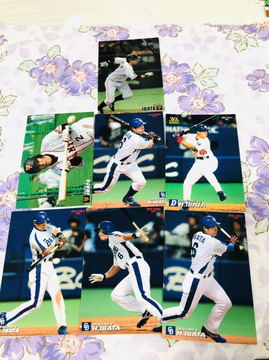  Calbee Professional Baseball chip s card set sale Chunichi Dragons Yomiuri Giants . person . edge . peace 