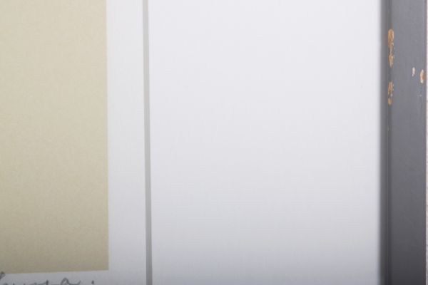 7392 オクヤナオミ 「呼吸の跳躍へ」 シルクスクリーン 7/60 額装 石川県 女流画家_画像8