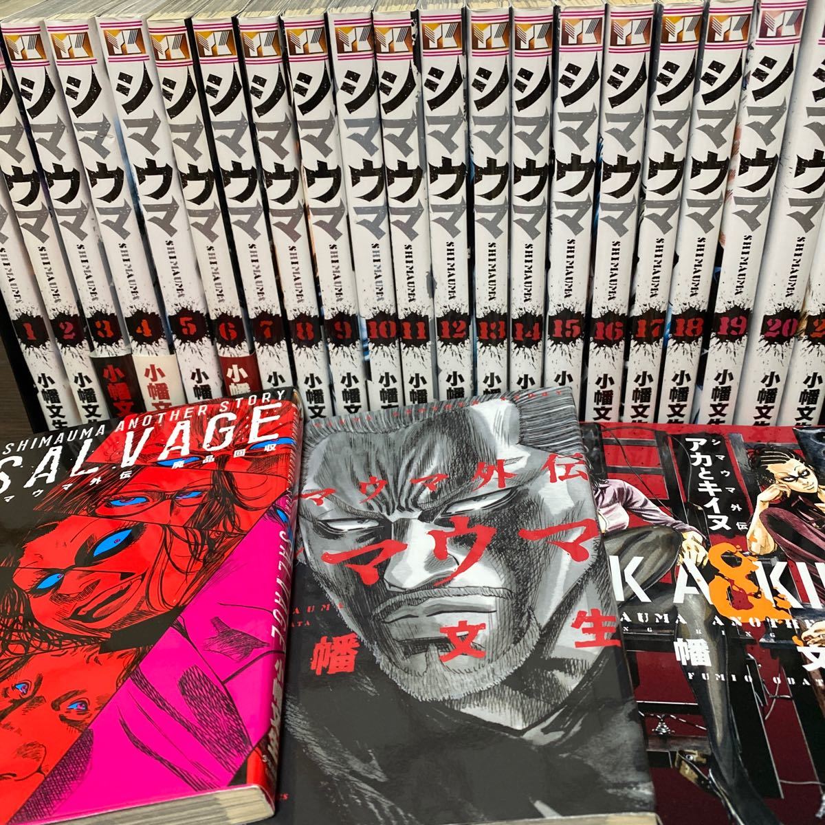 シマウマ 全巻 1〜22巻 外伝 3冊 a k a アンファミ セット 小幡 シマウマ 全巻 1〜22巻 外伝 3冊 a k a アンファミ セット 小幡