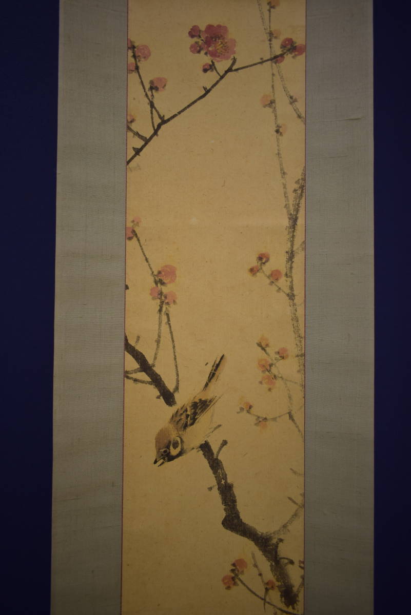 真作】//備後福山生/羽田桂舟/紅梅雀図/布袋屋掛軸HI-680 日本画 真作】//備後福山生/羽田桂舟/紅梅雀図/布袋屋掛軸HI-680 日本画