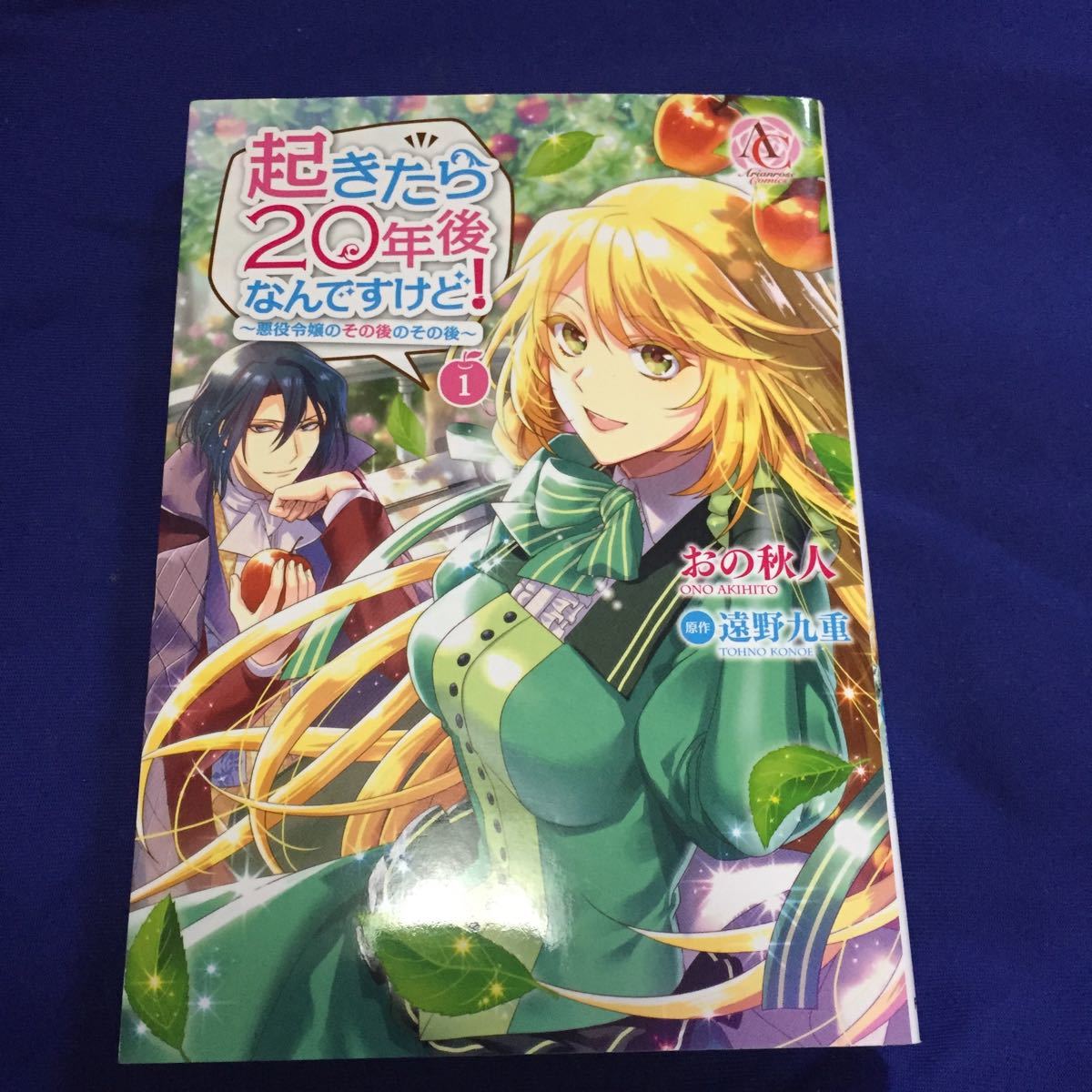 起きたら20年後なんですけど! 悪役令嬢のその後のその後 1/おの秋人/遠野九重